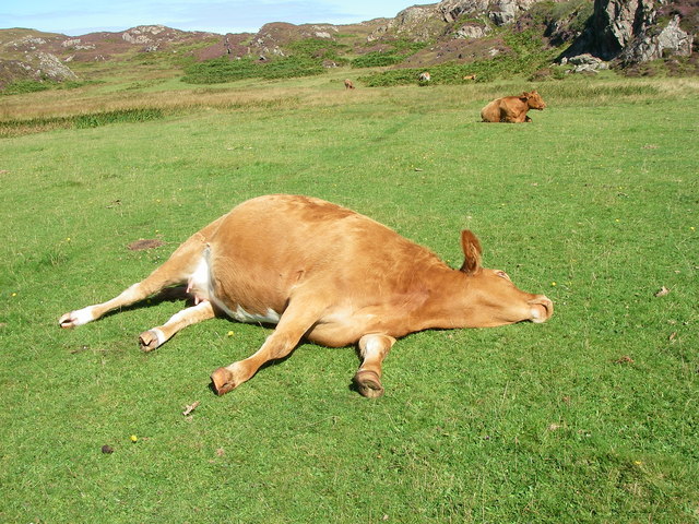 Blog Image